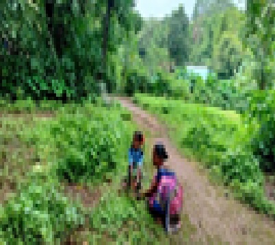 बुरंबाड  (संगमेश्वर) जि. प. शाळेत 'झाडे लावा, झाडे जगवा' अभियानांतर्गत वृक्षारोपण.